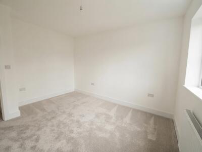 Picture 29